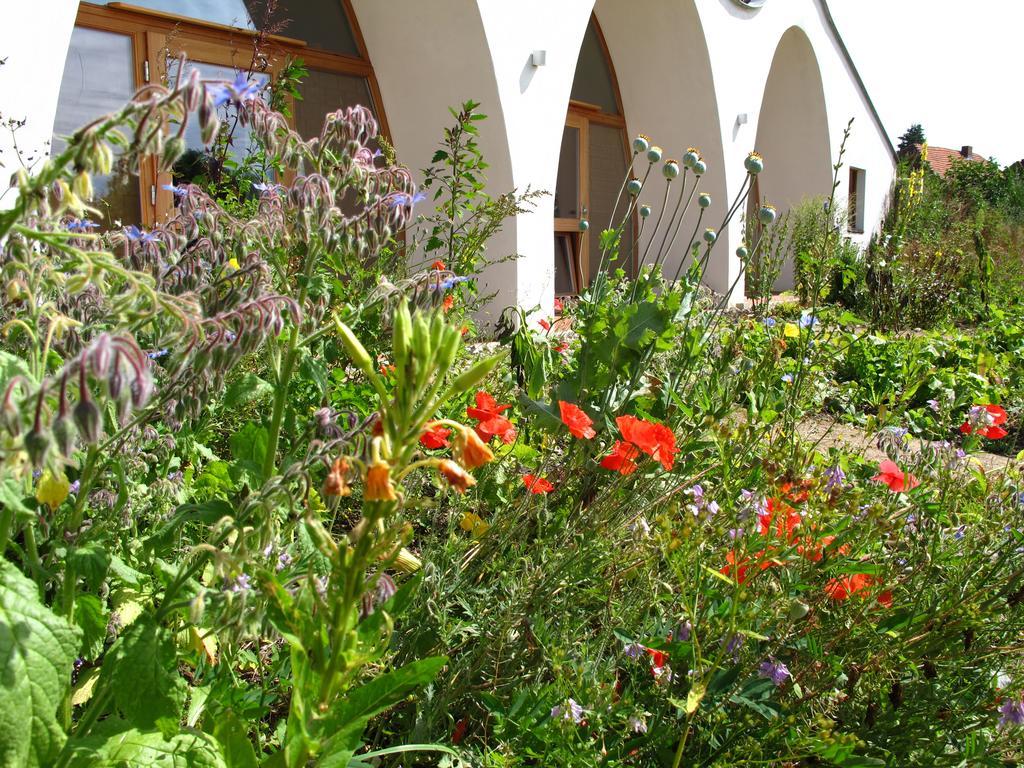 Gaestehaus Am Wangeliner Garten Exterior foto